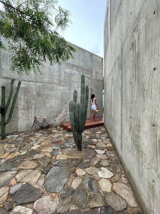 Vila Casa Del Sapo Yolina Exteriér fotografie