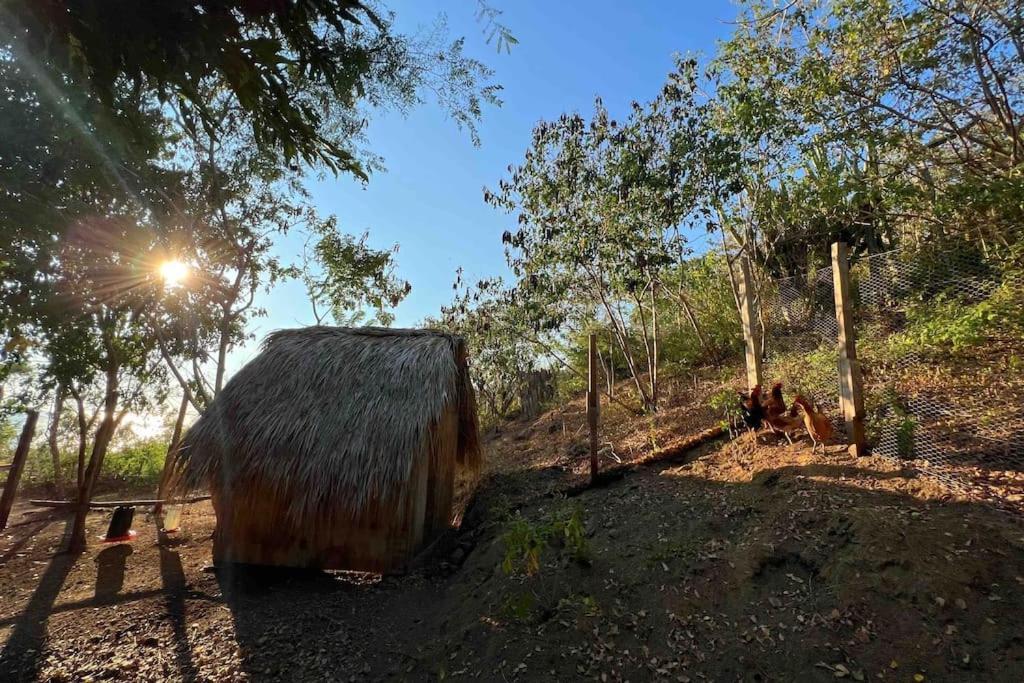 Vila Casa Del Sapo Yolina Exteriér fotografie